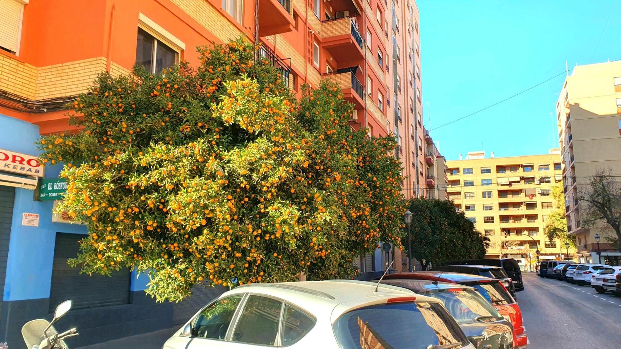 Nuevo Apartamentos Costa Del Alma バレンシア エクステリア 写真