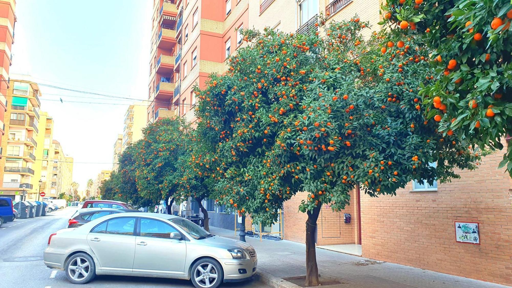Nuevo Apartamentos Costa Del Alma バレンシア エクステリア 写真